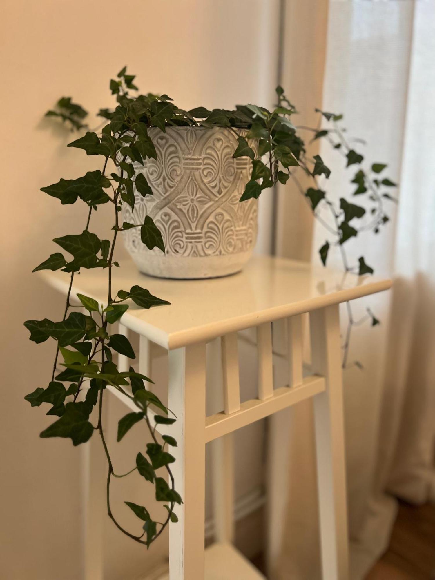 2025 Award Winner Liverpool Ivy House - 4 Bedrooms Kültér fotó